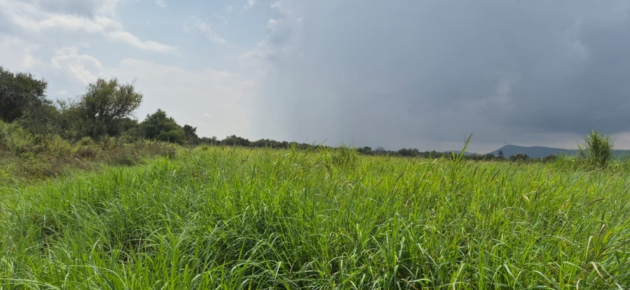 0 Bedroom Property for Sale in Koster North West